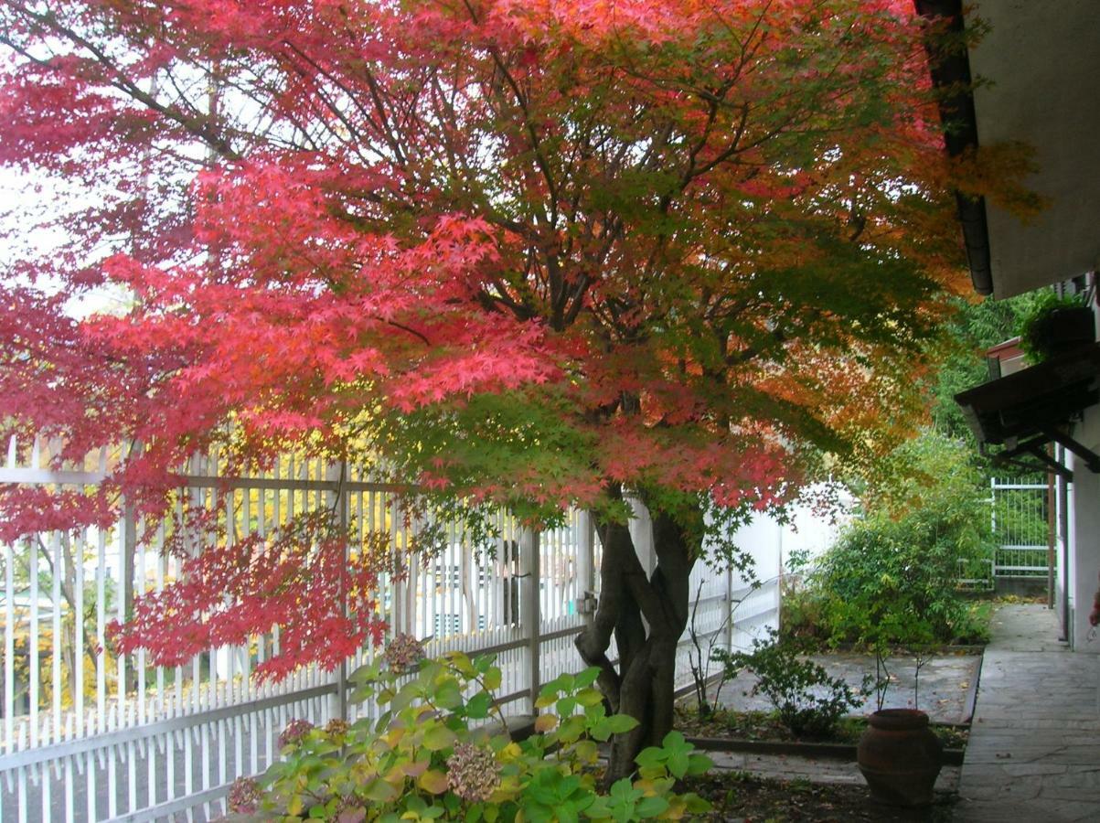 B&B Vaemenia Omegna Kültér fotó